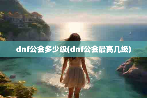 dnf公会多少级(dnf公会最高几级)