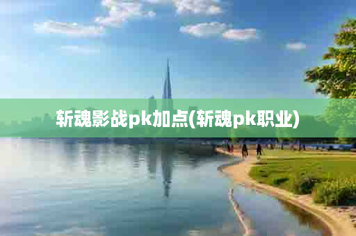 斩魂影战pk加点(斩魂pk职业)