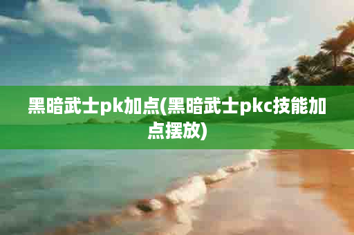 黑暗武士pk加点(黑暗武士pkc技能加点摆放)