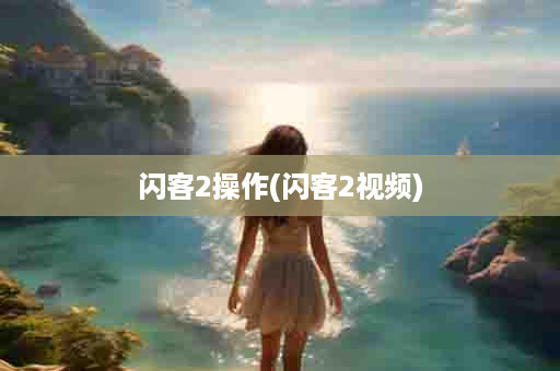 闪客2操作(闪客2视频)