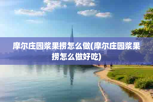 摩尔庄园浆果捞怎么做(摩尔庄园浆果捞怎么做好吃)