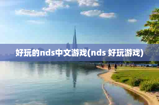 好玩的nds中文游戏(nds 好玩游戏)