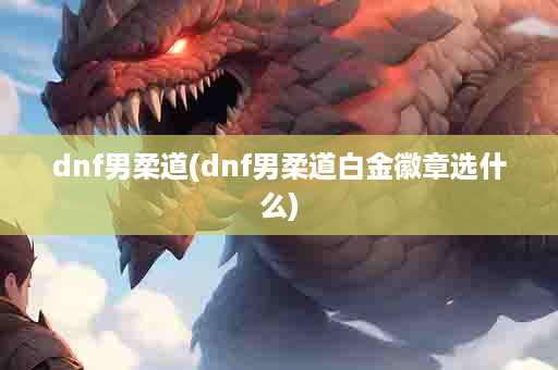 dnf男柔道(dnf男柔道白金徽章选什么)