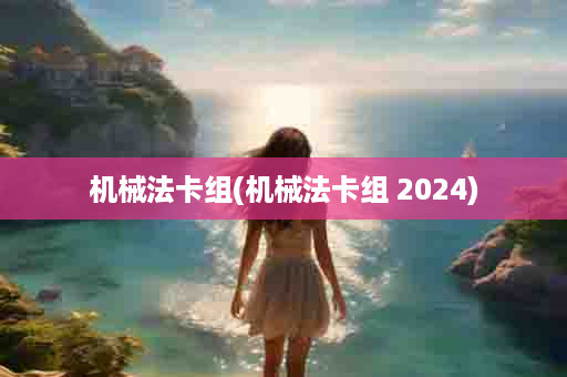 机械法卡组(机械法卡组 2024)