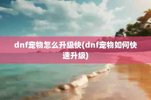 dnf宠物怎么升级快(dnf宠物如何快速升级)