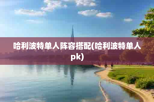 哈利波特单人阵容搭配(哈利波特单人pk)