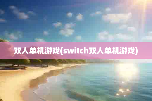 双人单机游戏(switch双人单机游戏)