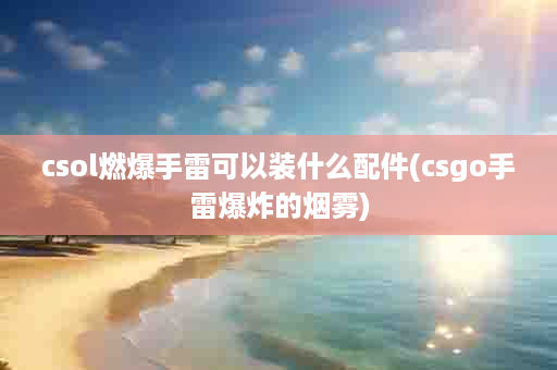 csol燃爆手雷可以装什么配件(csgo手雷爆炸的烟雾)