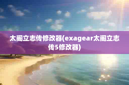 太阁立志传修改器(exagear太阁立志传5修改器)