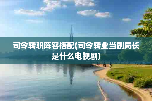 司令转职阵容搭配(司令转业当副局长是什么电视剧)