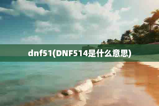 dnf51(DNF514是什么意思)