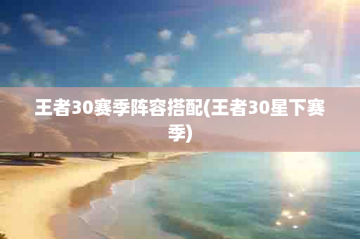 王者30赛季阵容搭配(王者30星下赛季)