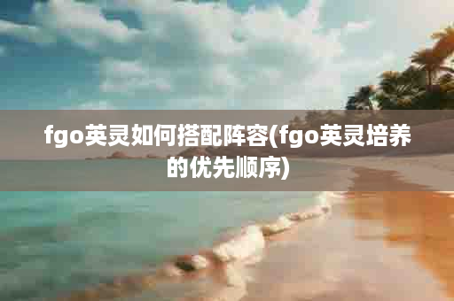 fgo英灵如何搭配阵容(fgo英灵培养的优先顺序)